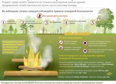 Спасатели Подмосковья проводят работы по профилактике лесных пожаров Спасатели Подмосковья проводят работы по профилактике лесных пожаров