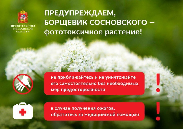 ВНИМАНИЕ! Обработка дорог против борщевика ВНИМАНИЕ! Обработка дорог против борщевика
