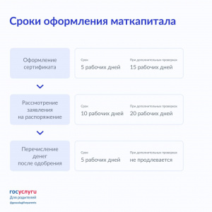 Сроки оформления маткапитала