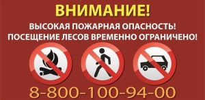 Об ограничении пребывания в лесах