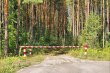 В Московской области введен особый противопожарный режим В Московской области введен особый противопожарный режим