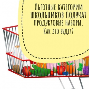 Льготные категории школьников получат продуктовые наборы. Как это будет?  Льготные категории школьников получат продуктовые наборы. Как это будет?
