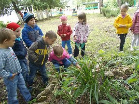 Всемирный день защиты окружающей среды Всемирный день защиты окружающей среды