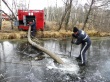 В четырех районах Подмосковья началась перекачка воды на торфяники В четырех районах Подмосковья началась перекачка воды на торфяники