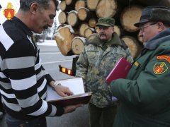 Ответственность за транспортировку древесины без сопроводительного документа Ответственность за транспортировку древесины без сопроводительного документа