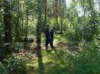 Более 100 заблудившихся вывели из леса спасатели Московской области с начала 2016 года Более 100 заблудившихся вывели из леса спасатели Московской области с начала 2016 года