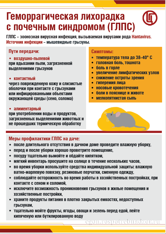 Геморрагическая лихорадка с почечным синдромом (ГЛПС) – зоонозная вирусная инфекция. Геморрагическая лихорадка с почечным синдромом (ГЛПС) – зоонозная вирусная инфекция.