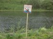 На водоемах Московской области с начала купального сезона спасено 55 человек На водоемах Московской области с начала купального сезона спасено 55 человек