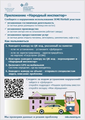 Народный инспектор