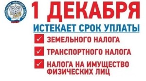 1 ДЕКАБРЯ  истекает срок уплаты