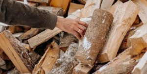 Жителям Серебряных Прудов рассказали какой объем дров нужно заготавливать на зиму
