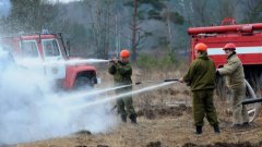 Правительство Московской области повышает противопожарную защищенность региона Правительство Московской области повышает противопожарную защищенность региона