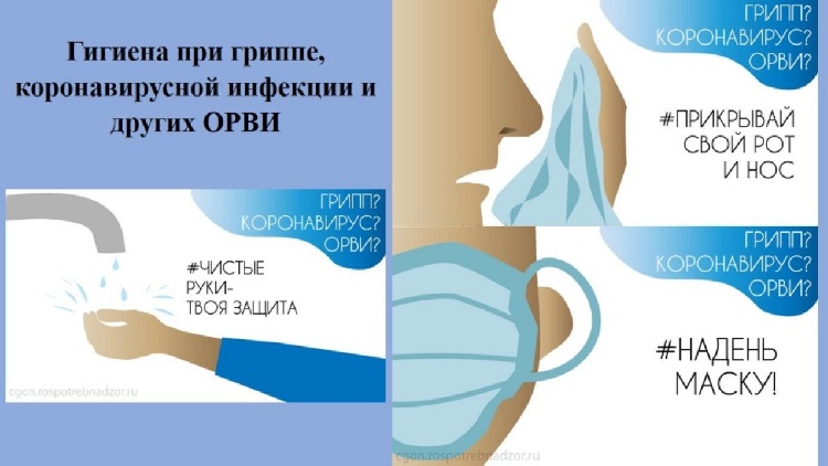 Гигиена при гриппе, коронавирусной инфекции и других ОРВИ Гигиена при гриппе, коронавирусной инфекции и других ОРВИ