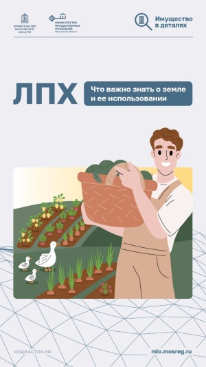 ЛПХ или личное подсобное хозяйство – казалось бы, всё просто: участок предназначен для ведения хозяйства - возможности производить и перерабатывать сельхозпродукцию для личных нужд. 