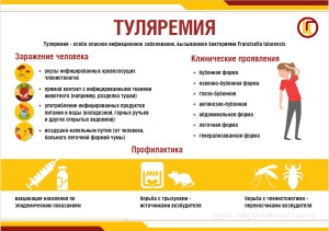 Туляремия 