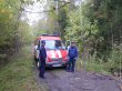 В Московской области с начала года спасатели вывели из леса почти 300 заблудившихся 