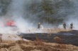 В Московской области подвели итоги пожароопасного периода В Московской области подвели итоги пожароопасного периода