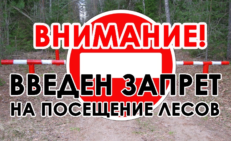 Об ограничении пребывания в лесах Московской области Об ограничении пребывания в лесах Московской области