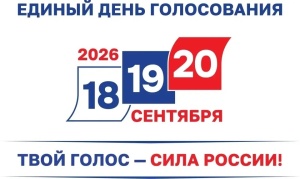 Прозрачность выборов в Подмосковье будут обеспечивать тысячи наблюдателей - из них около 4 тысяч - от Единой России