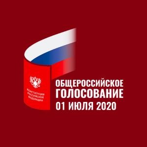 Голосование по поправкам к Конституции РФ по месту нахождения