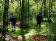 Более 30 заблудившихся вывели спасатели из лесов Московской области в 2016 году Более 30 заблудившихся вывели спасатели из лесов Московской области в 2016 году