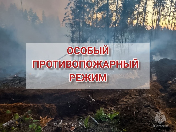 Особый противопожарный режим