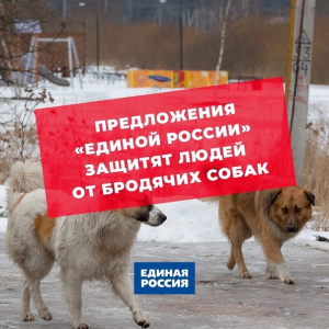 В Госдуме поддержали предложения «Единой России» по защите людей от бродячих собак В Госдуме поддержали предложения «Единой России» по защите людей от бродячих собак