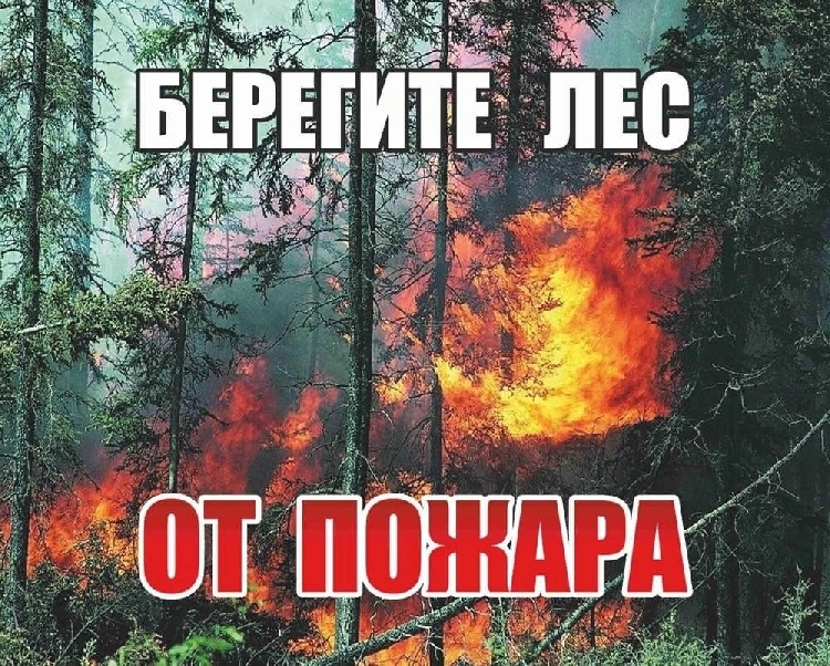 С 1 апреля 2024 года на территории Московской области начался пожароопасный сезон. С 1 апреля 2024 года на территории Московской области начался пожароопасный сезон.