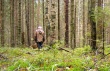 47 заблудившихся выведено из леса подмосковными спасателями с начала года 47 заблудившихся выведено из леса подмосковными спасателями с начала года
