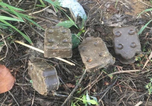БЕШЕНСТВО - вирусное заболевание с признаками поражения центральной нервной системы, всегда заканчивается смертью! БЕШЕНСТВО - вирусное заболевание с признаками поражения центральной нервной системы, всегда заканчивается смертью!