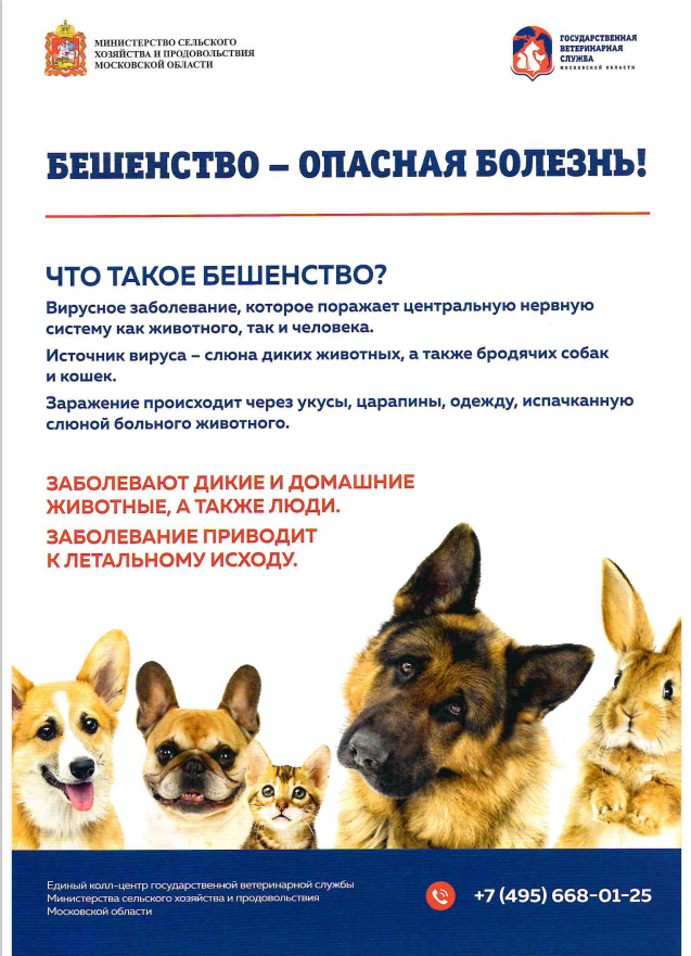 Бешенство - опасная болезнь