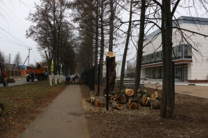 Опиловка деревьев