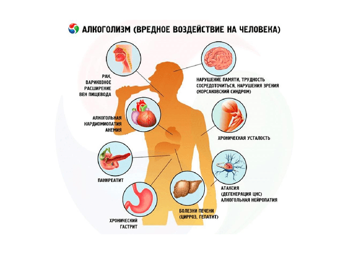 Употребление алкоголя и его вредоносность Употребление алкоголя и его вредоносность