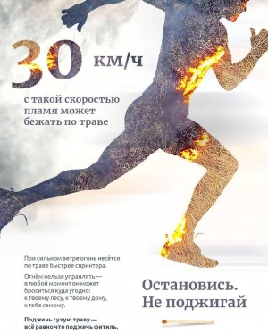 Внимание! Внимание!