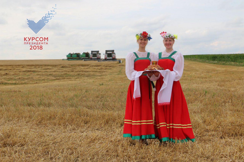 В 2018 году посевная площадь земель в Подмосковье превысит 580 тыс га В 2018 году посевная площадь земель в Подмосковье превысит 580 тыс га