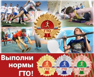 Фестиваль ВФСК «ГТО»