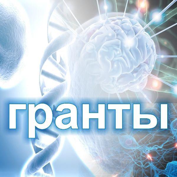 Научная значимость и экспортный потенциал: какие будут нововведения для получателей господдержки на разработки Научная значимость и экспортный потенциал: какие будут нововведения для получателей господдержки на разработки