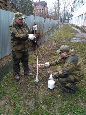 Свыше 30 тысяч деревьев и кустарников планируют высадить в Московской области в рамках субботника 22 апреля Свыше 30 тысяч деревьев и кустарников планируют высадить в Московской области в рамках субботника 22 апреля