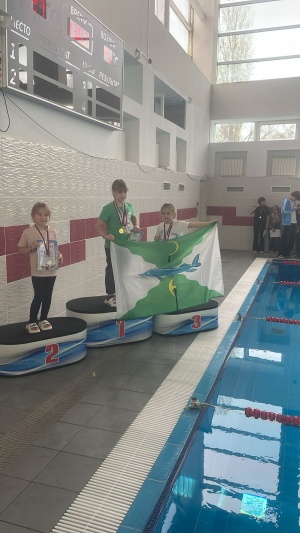 В Серебряных Прудах прошло открытое первенство по плаванию памяти Героя России С.А. Фирсова