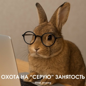 Результаты охоты на «серую» занятость 