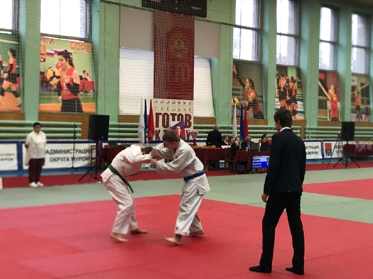 В Муроме завершились региональные соревнования по дзюдо среди юношей, собравшие 160 спортсменов из пяти областей