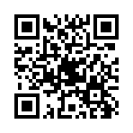 qr-code (1) прямые выплаты